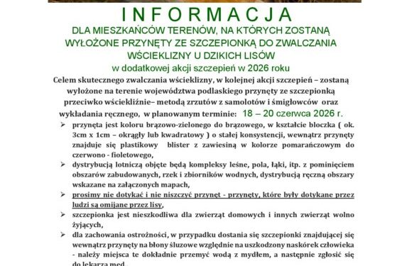 Akcja szczepienia lisów w Białymstoku