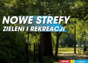 Zielone Suwałki: Prezydent zaprasza na spotkania konsultacyjne z mieszkańcami