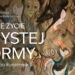 Drugie życie Czystej Formy. Witkacy po konserwacji