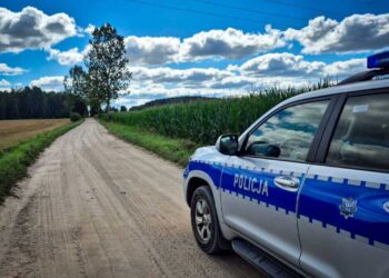 Kontrola drogowa policji w gminie Dąbrowa Białostocka