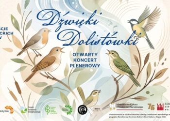 Grafika koncertu Dźwięki Dolistówki z ptakami na gałęziach