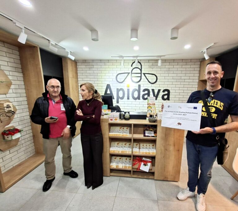 Pasieka odwiedzona przez podlaskich pszczelarzy podczas wizyty studyjnej w Rumunii (5)
