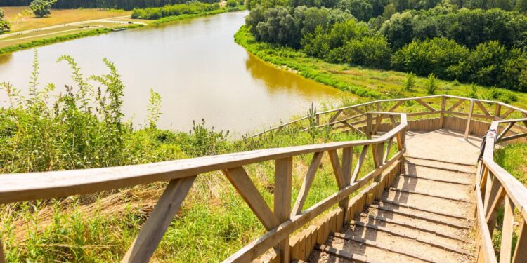 Drewniana kładka widokowa nad doliną rzeki w województwie podlaskim