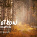 Zapowiedź spaceru fotograficznego SloWołkow PhotoWalk Barwy jesieni