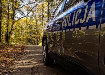 Radiowóz policyjny na leśnej drodze wśród jesiennych drzew