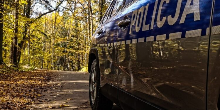 Radiowóz policyjny na leśnej drodze wśród jesiennych drzew